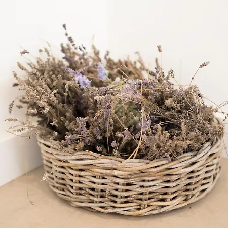 Bed & Breakfast Het Ockhuis 3*