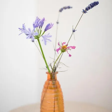 Het Ockhuis Bed & Breakfast