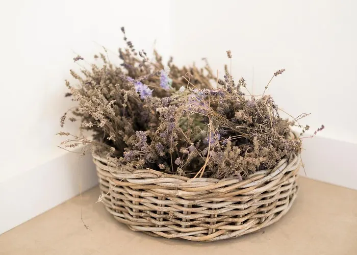 Couette-café Het Ockhuis 3*