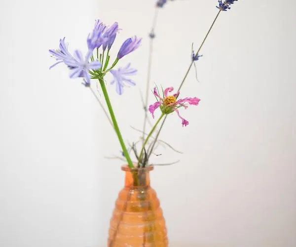 Het Ockhuis Couette-café