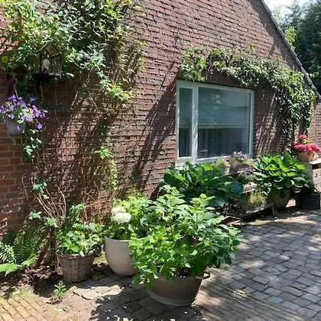 住宿加早餐酒店 Het Ockhuis 3*