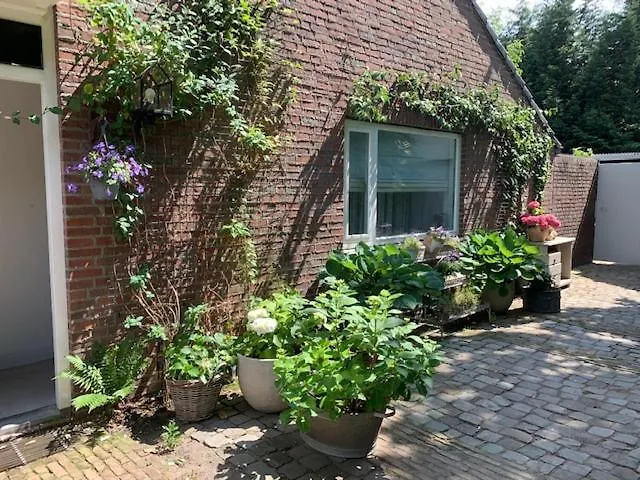 住宿加早餐酒店 Het Ockhuis 3*