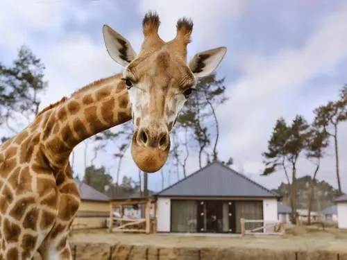 Het Ockhuis Moergestel